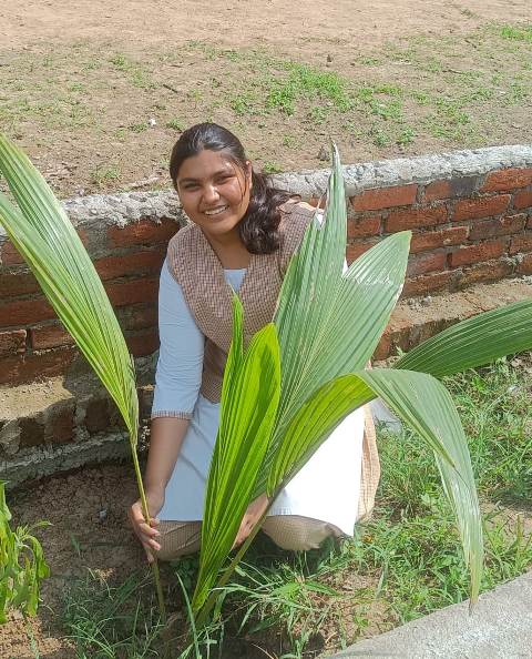 ECO CLUB ACTIVITY EK  PED KE NAAM 2.0